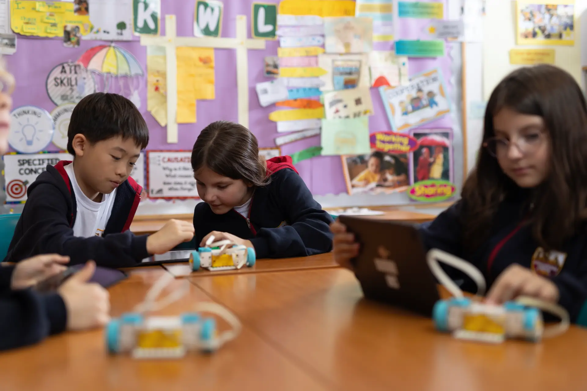 Learning about the IB Continuum Programme